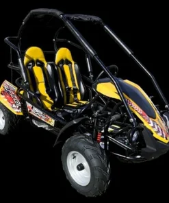 TrailMaster Blazer 200R Mid Go- Karts