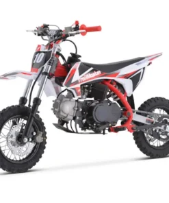 TrailMaster TM10 110cc Automatic 4-Stroke Dirt Bikes